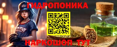 гашик Тула