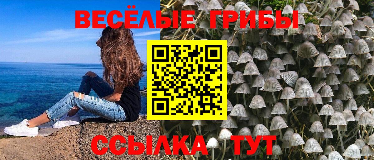 Псилоцибиновые грибы мухоморы Ангарск